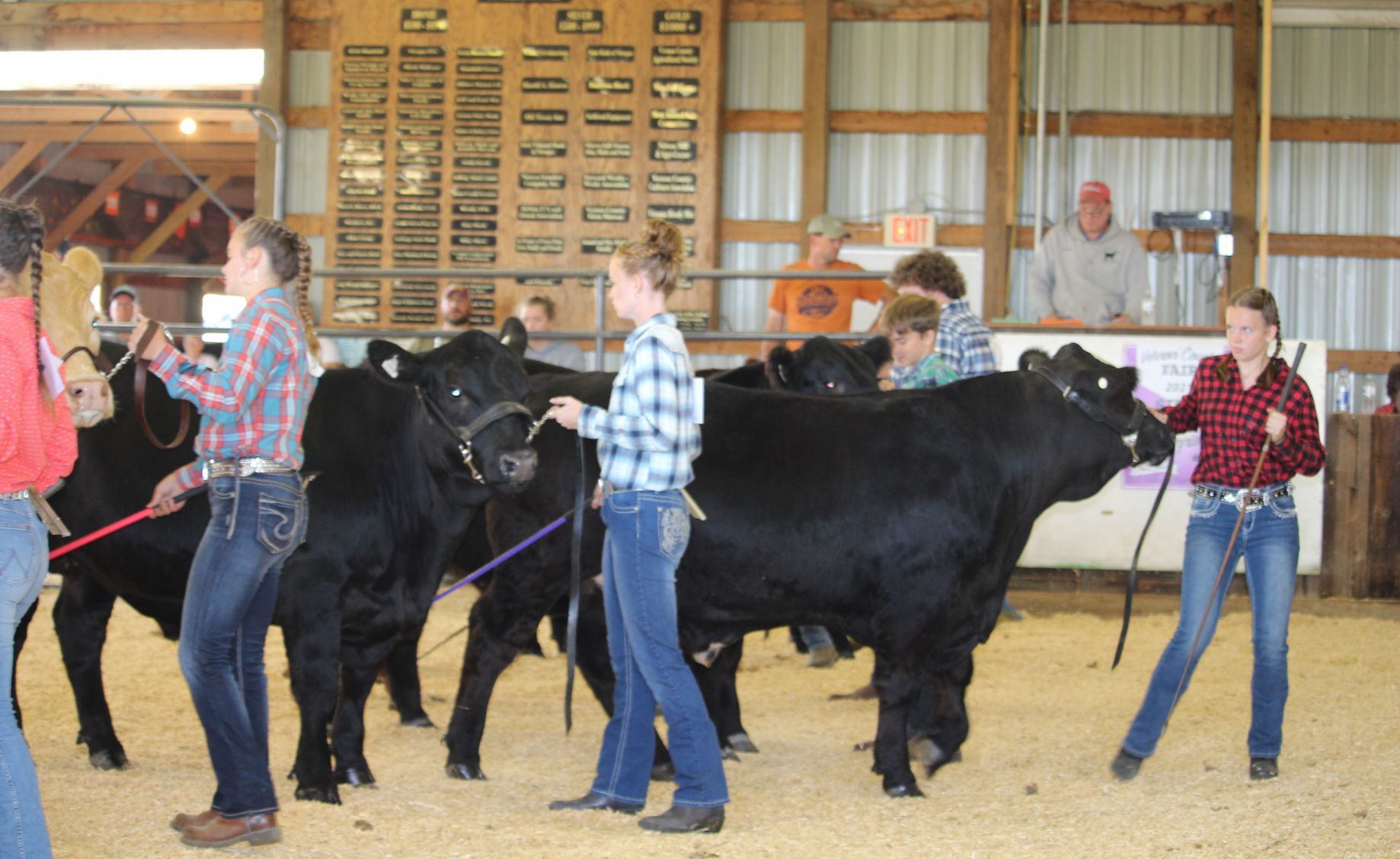 In the show ring